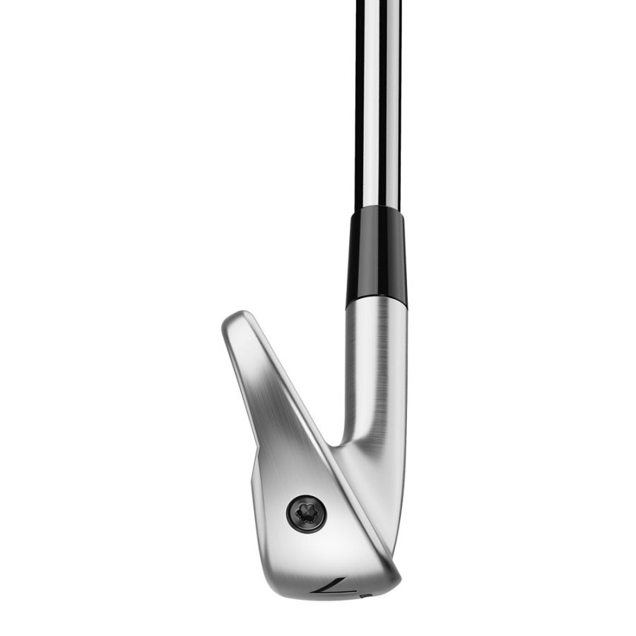 Taylor Made P790 (2025) Custom Fitted Irons