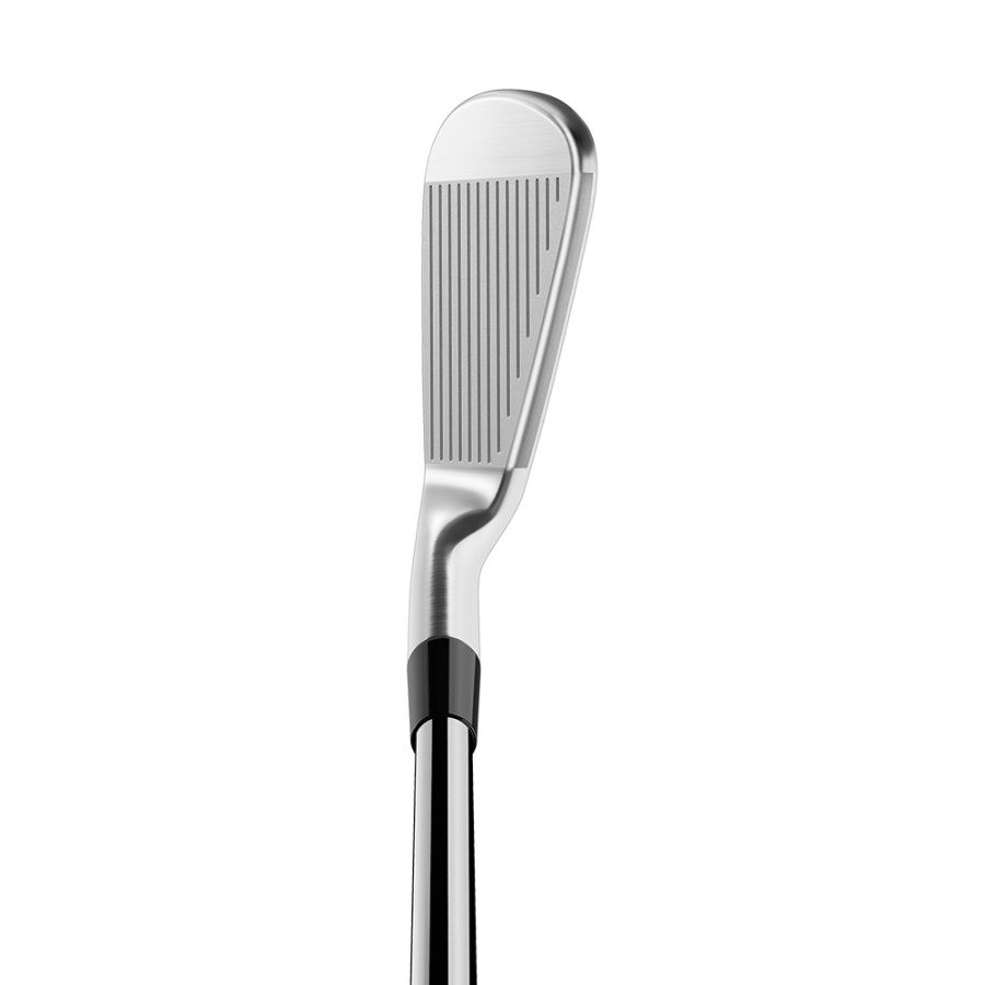 TaylorMade P770 - Custom Fitting